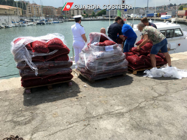 Sequestro della Guardia Costiera: rigettate in mare due tonnellate di cozze senza etichetta