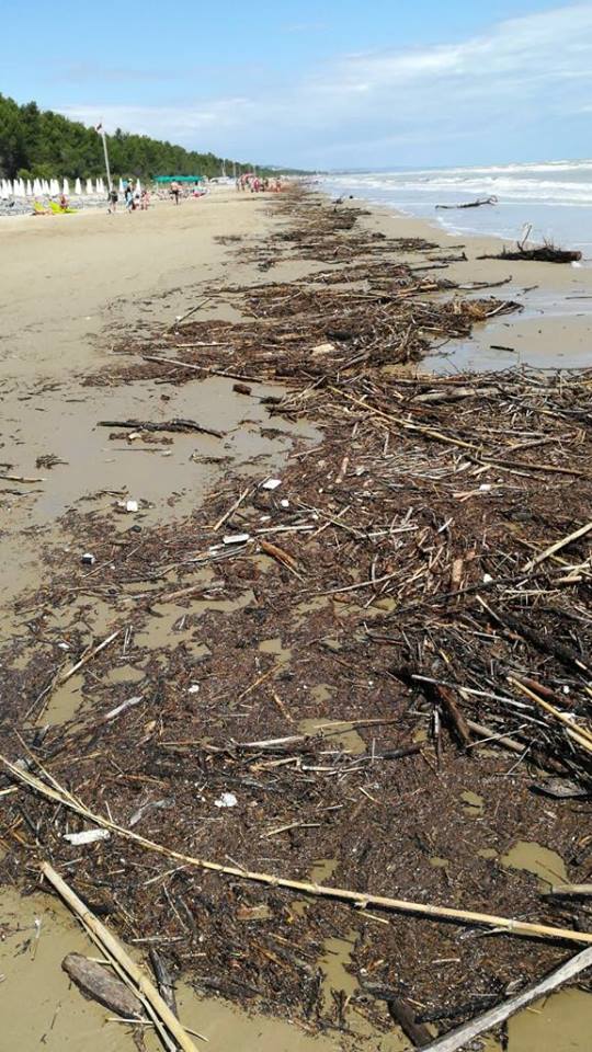 Pineto&maltempo. Scoppia la polemica per i rifiuti spiaggiati. Il Sindaco:” Siamo stati lasciati soli”