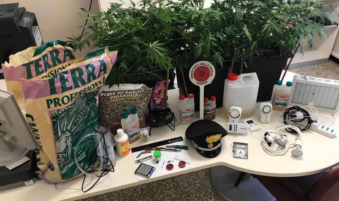 Aveva una serra di marijuana in casa: i Cc arrestano 28enne