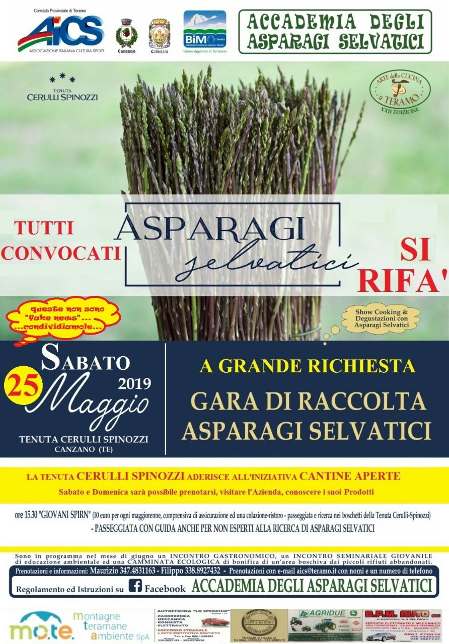 Canzano.Tenuta “Cerulli Spinozzi” e Accademia organizzano giornata raccolta degli asparagi selvatici
