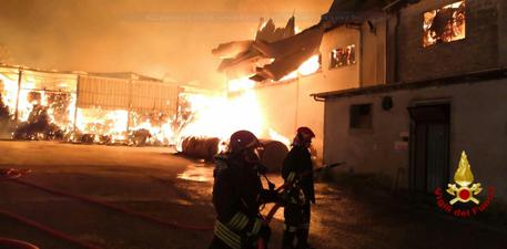 Incendio in un deposito di foraggio:a fuoco 8 mila mq di capannone