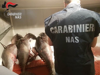 I Carabinieri del NAS sequestrano una tonnellata di pesce. Deferiti due imprenditori