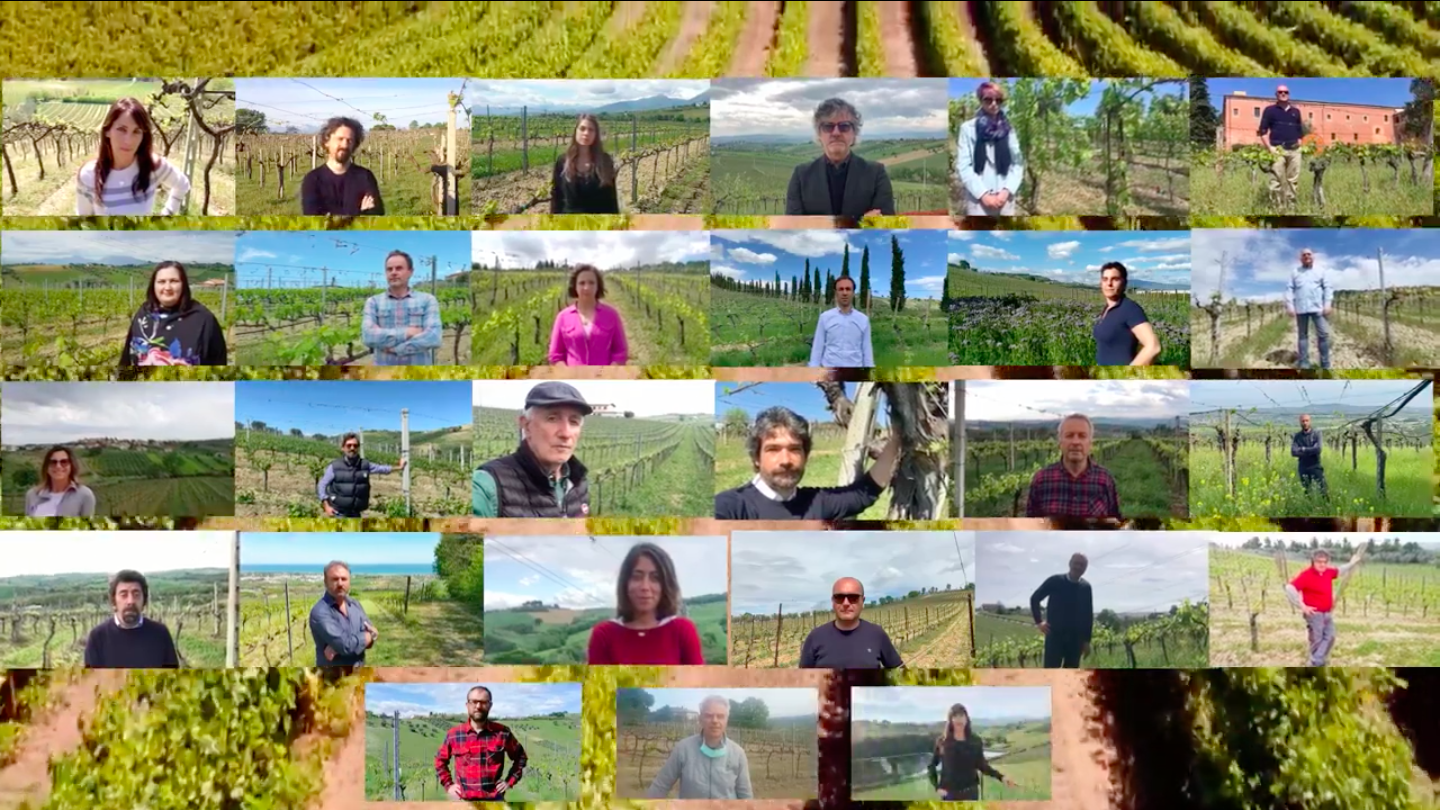 Web Tv. Cantina&Co. Ecco un VIDEO “emozionale” lanciato dai produttori di vino DOCG della Provincia di Teramo