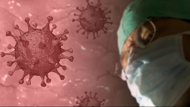 Coronavirus Marche aggiornamenti del 27 settembre: stabili i contagi. 24 nelle ultime 24 ore