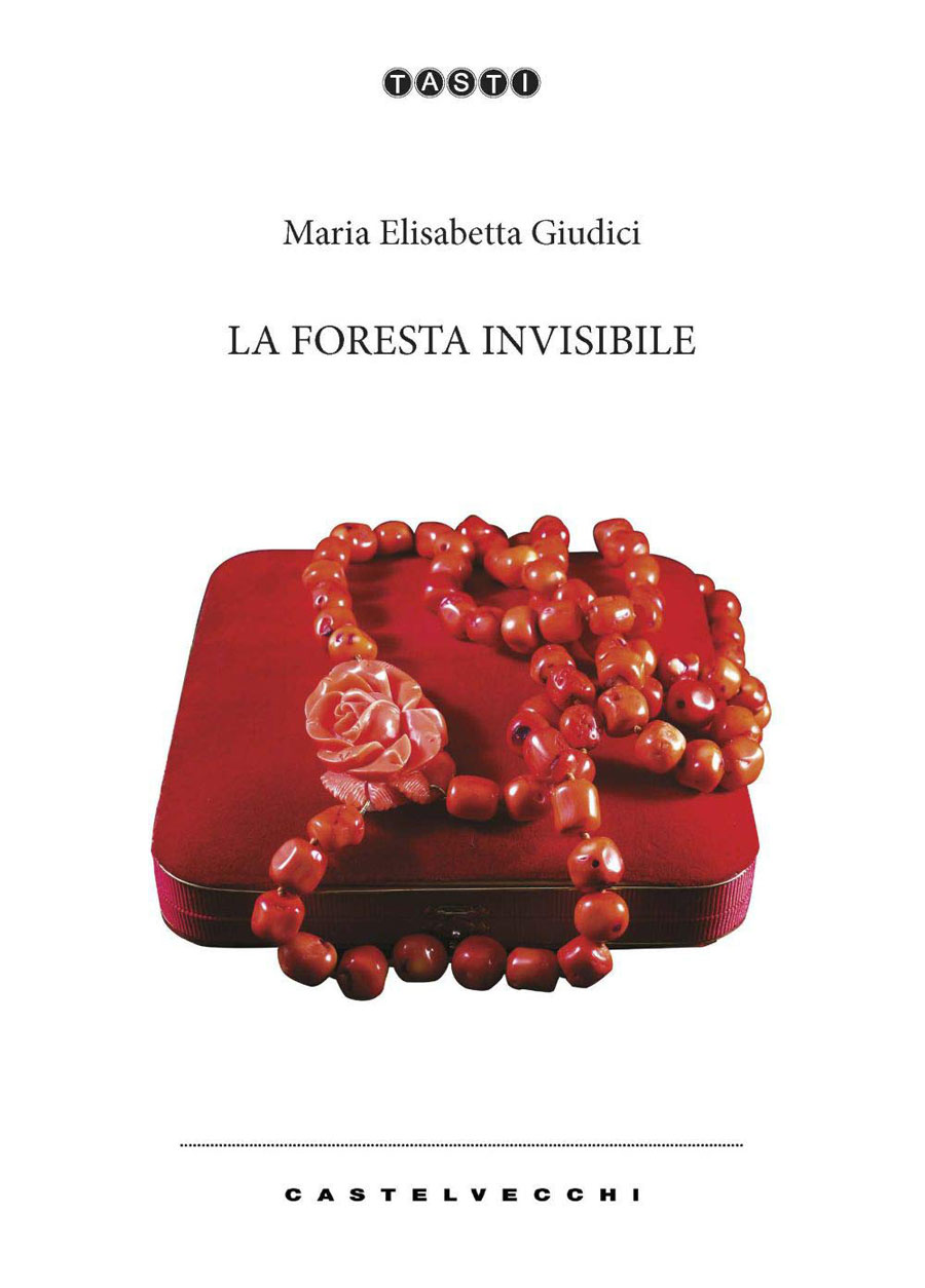 Libri&Editoria. In uscita “La foresta invisibile”, il nuovo romanzo di Maria Elisabetta Giudici