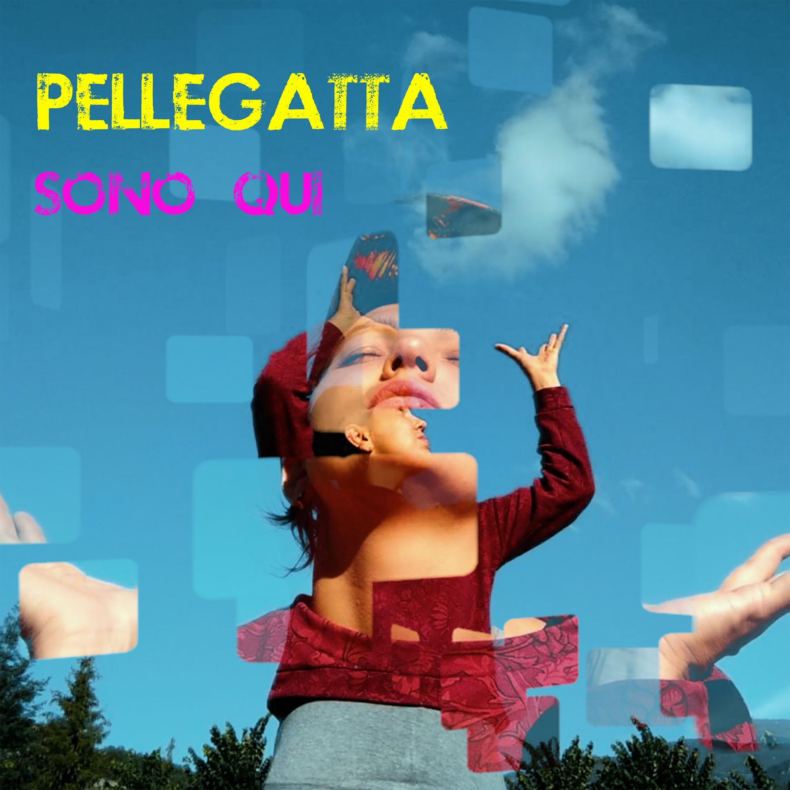 Wall Tv Musica. Anteprima nazionale, “Sono Qui”: il nuovo singolo della cantautrice Pellegatta/VIDEO
