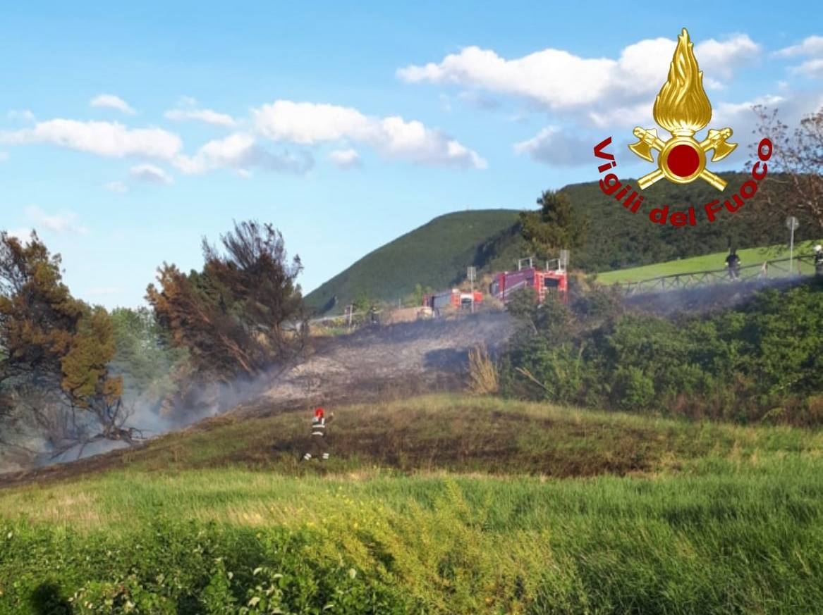 Marche. Incendio distrugge due ettari di vegetazione sul Conero di Portonovo