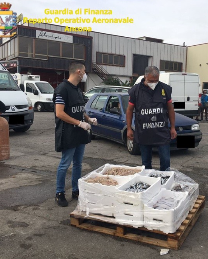 Vendita abusiva di prodotti ittici: sequestrati 215 kg di pesce al “Mandracchio” di Ancona