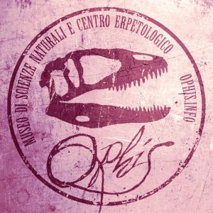 Teramo. Nasce il Museo Paleontologico e centro erpetologico “Ophis”: inaugurazione il 21 maggio