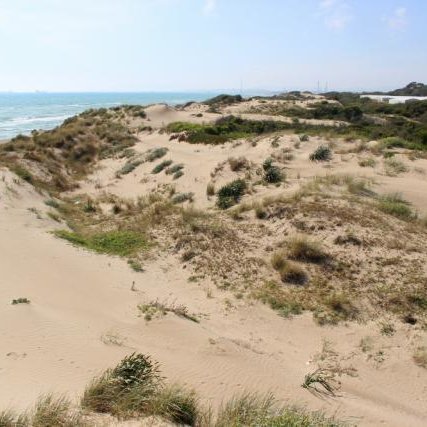Roseto. Nasce la “Carta dei Comuni “delle dune costiere del Mediterraneo: domani la presentazione