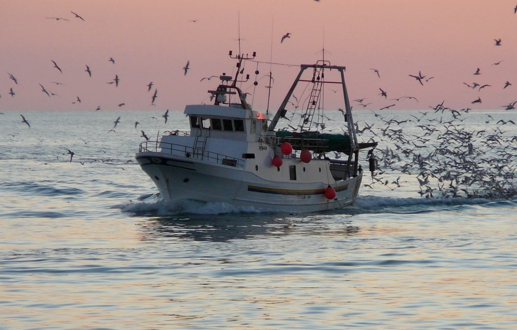 Dal 16 agosto scatta il fermo pesca in Abruzzo e Marche