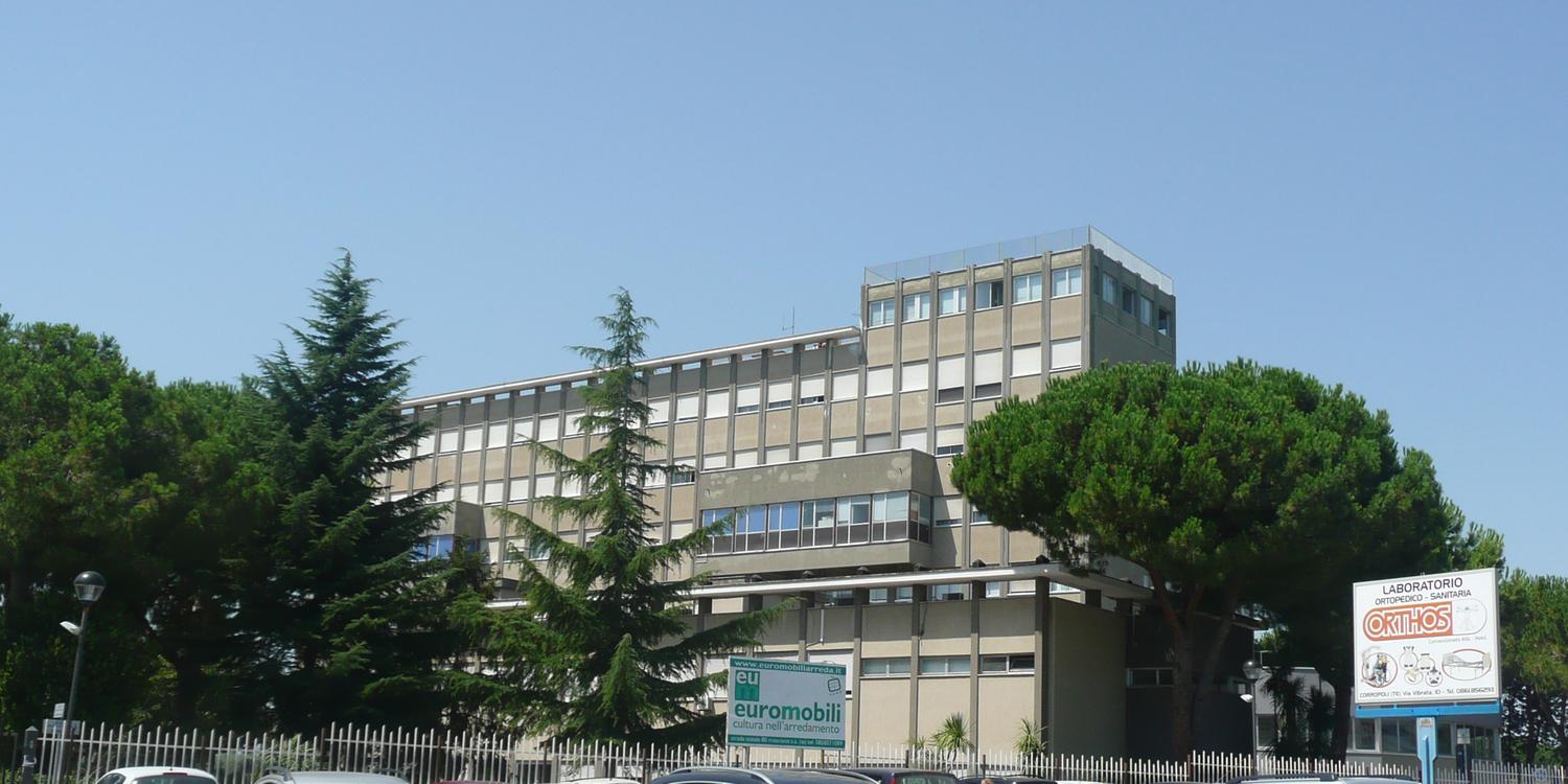 Giulianova. Dibattito pubblico sull’abbattimento dei pini nella zona dell’Ospedale