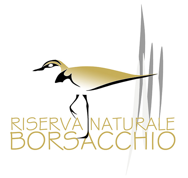 Abruzzo Regione. Riserva del Borsacchio: pronto il progetto di legge per perimetrazione originaria