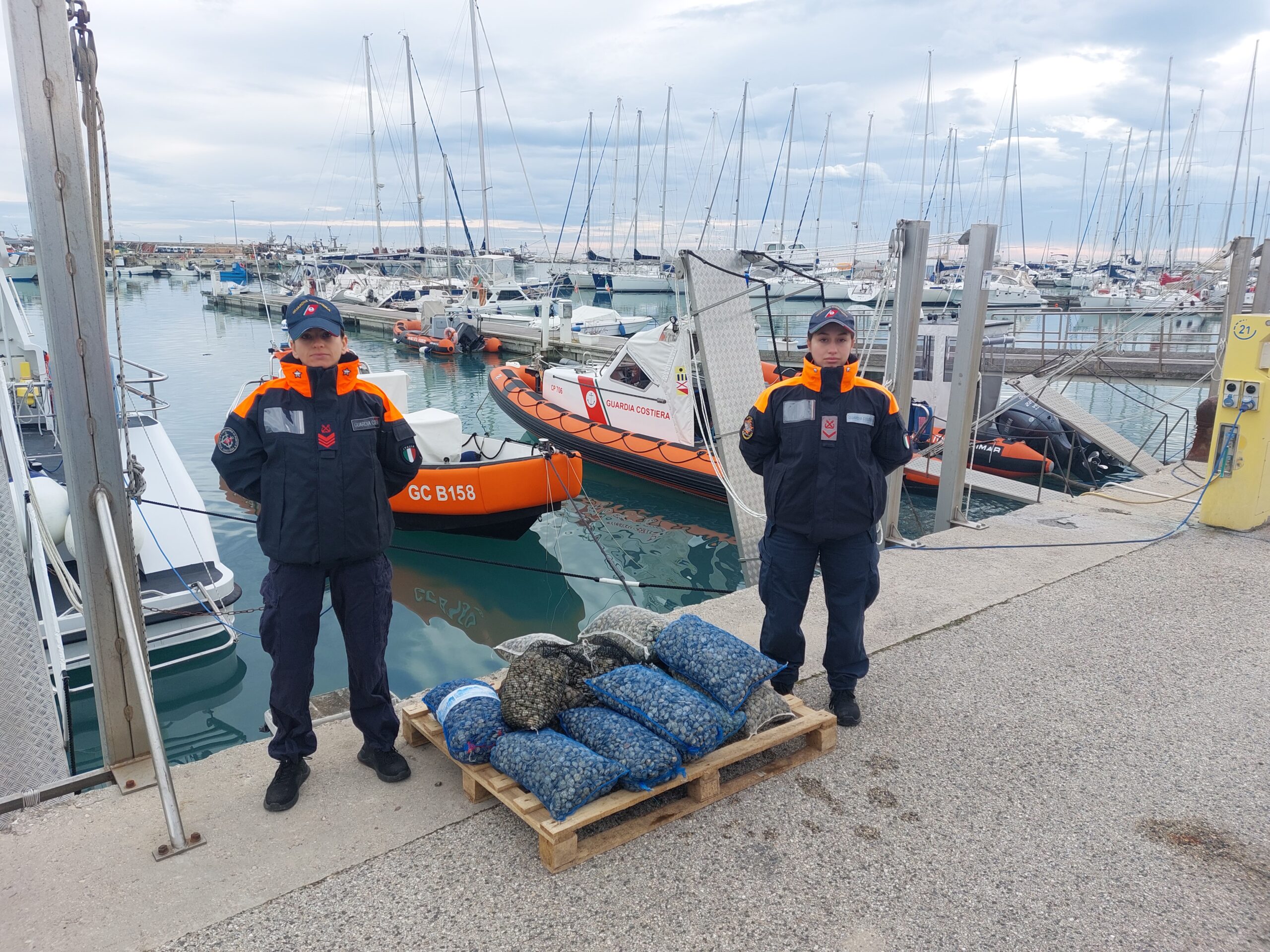 Erano vongole destinate al mercato nero: la Guardia Costiera di Giulianova ne sequestra 150 kg
